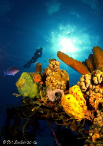 another shot of my model, Jim C. on the Doc Paulson wreck... by Patricia Sinclair 